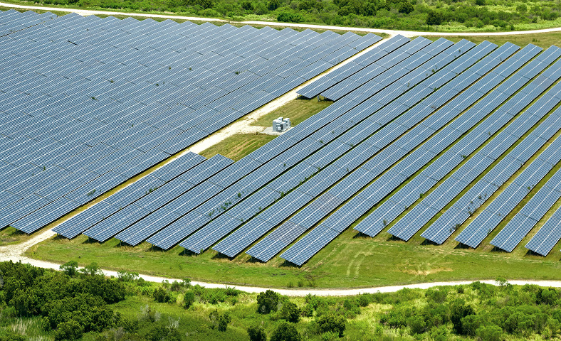 Large solar farm with rows of solavita photovoltaic panels installed across a green field, generating renewable energy in a sustainable setup