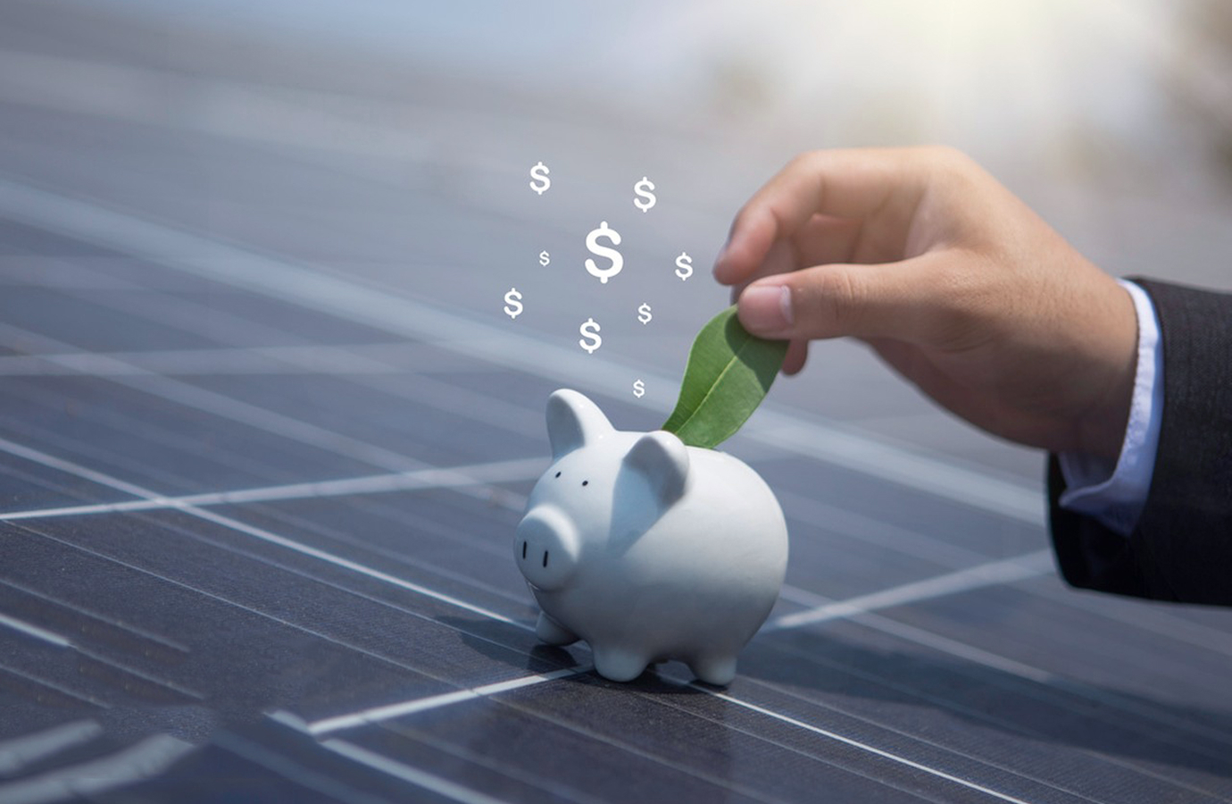 Hand placing a green leaf into a piggy bank on a solar panel, symbolizing the connection between renewable energy and savings
