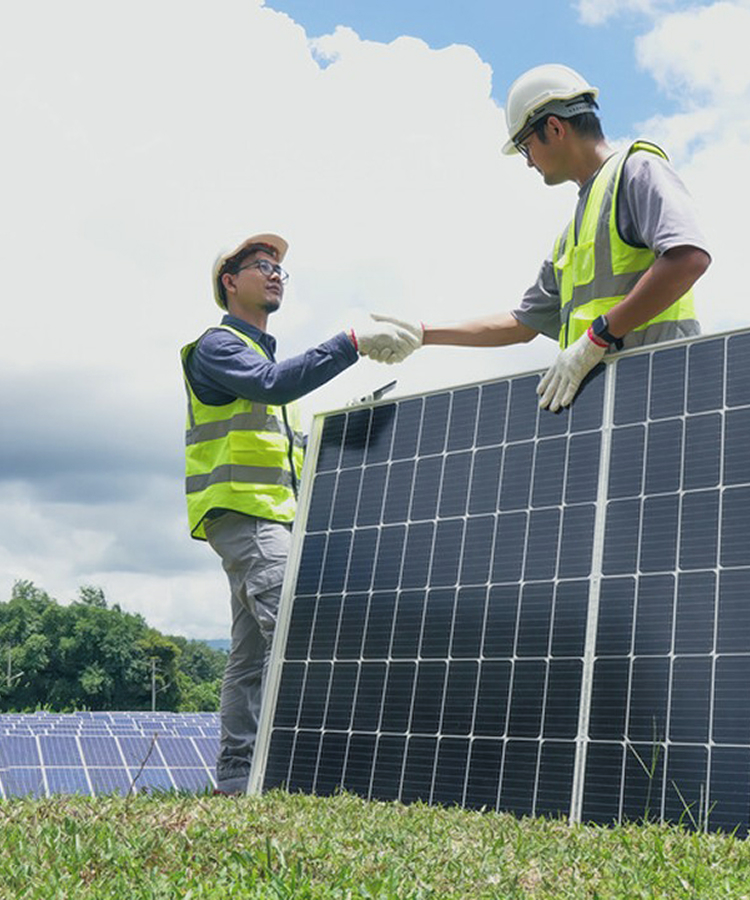 Solavita EPC engineers shaking hands in front of solar panels on green field