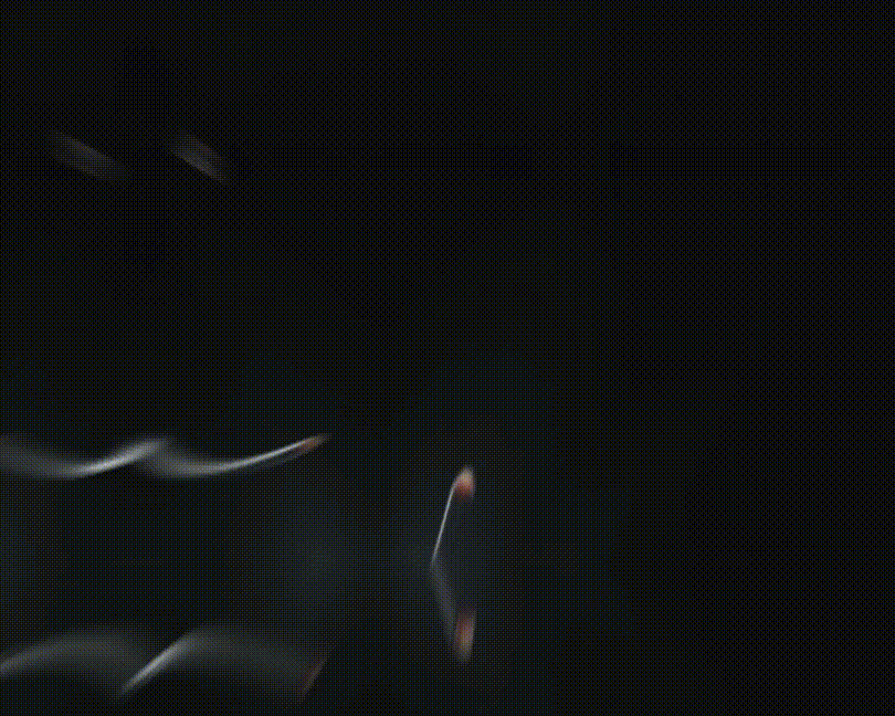 --自研3-6低压 (5).gif